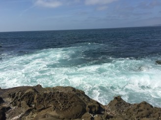La Jolla3