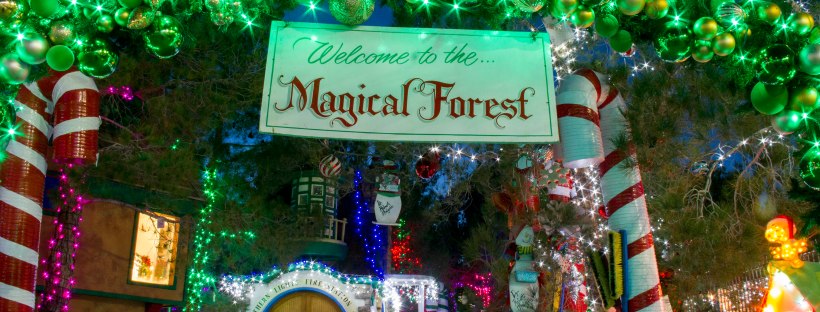 Wonderful World of Bree