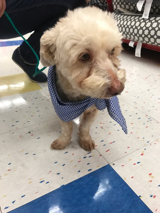 50863211883__8f9b75c1-0a9e-4396-b2a8-c6b2f5c4370d