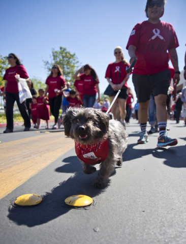 aids-walk-town-square