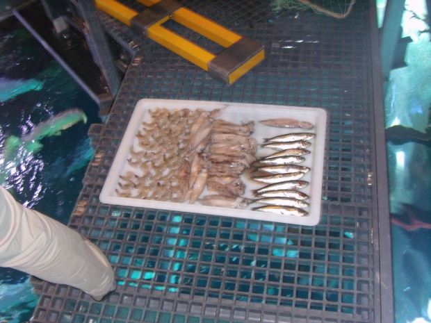 GEDSC DIGITAL CAMERA