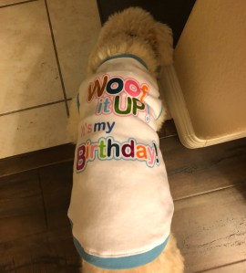 Wonderful World of Bree