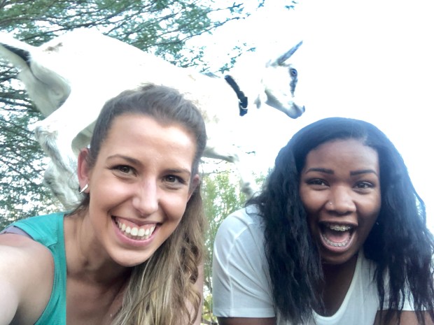 goat on girls back - Goat Yoga