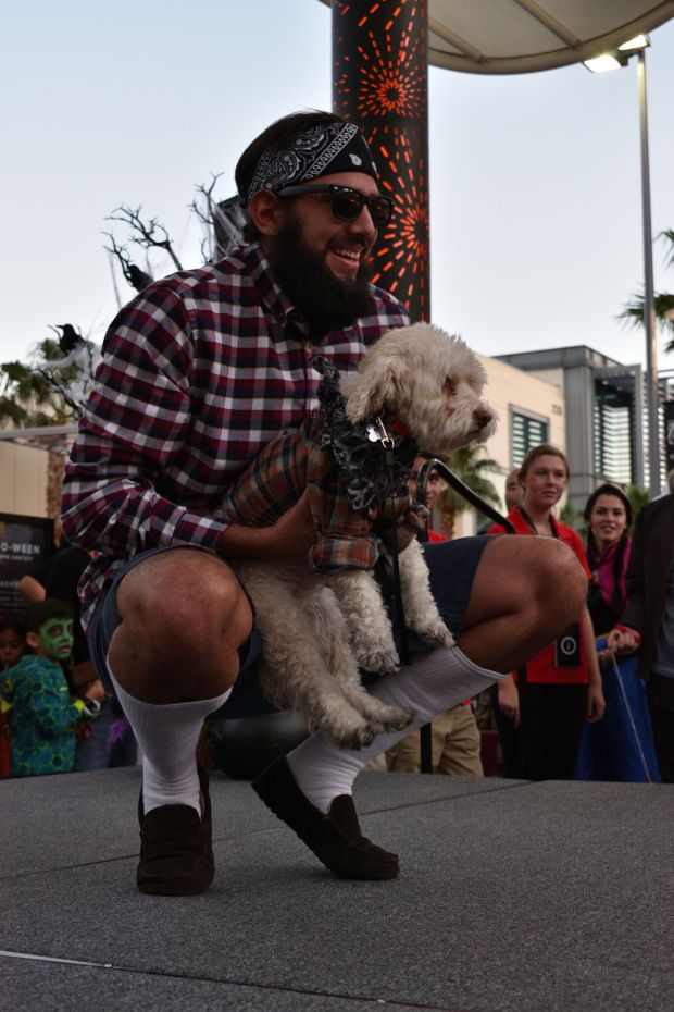 Pet Halloween Costume
