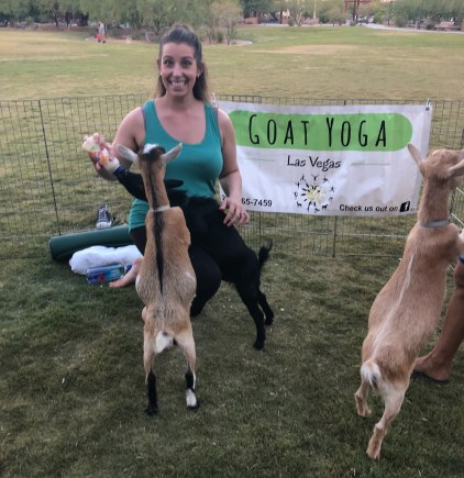 woman bottle feeding goats - Goat Yoga