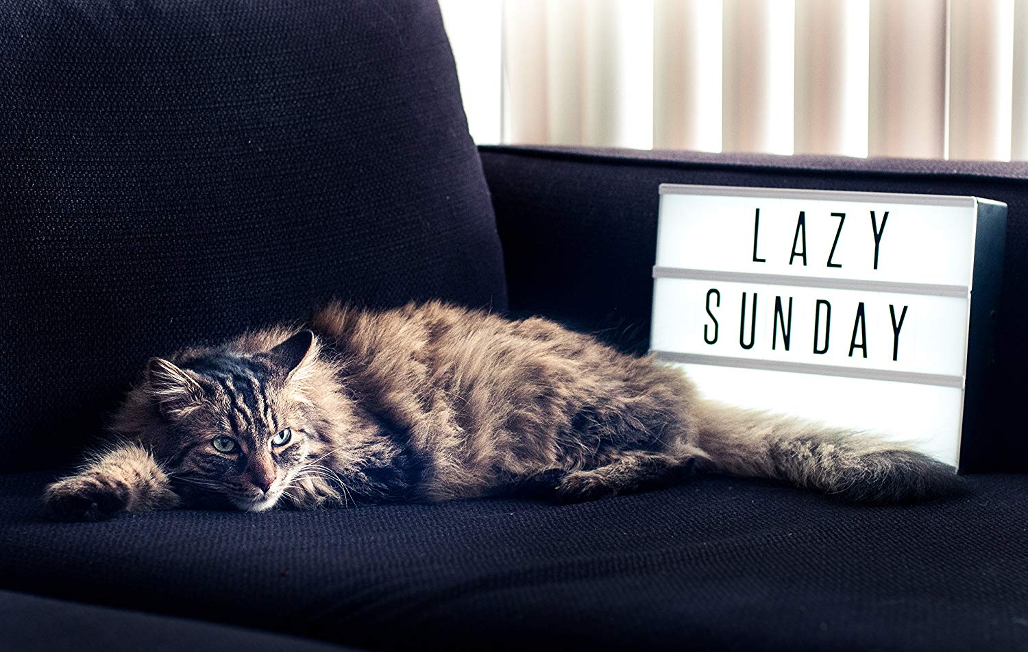 Marquee sign Out of the Box Christmas Gifts - Wonderful World of Bree