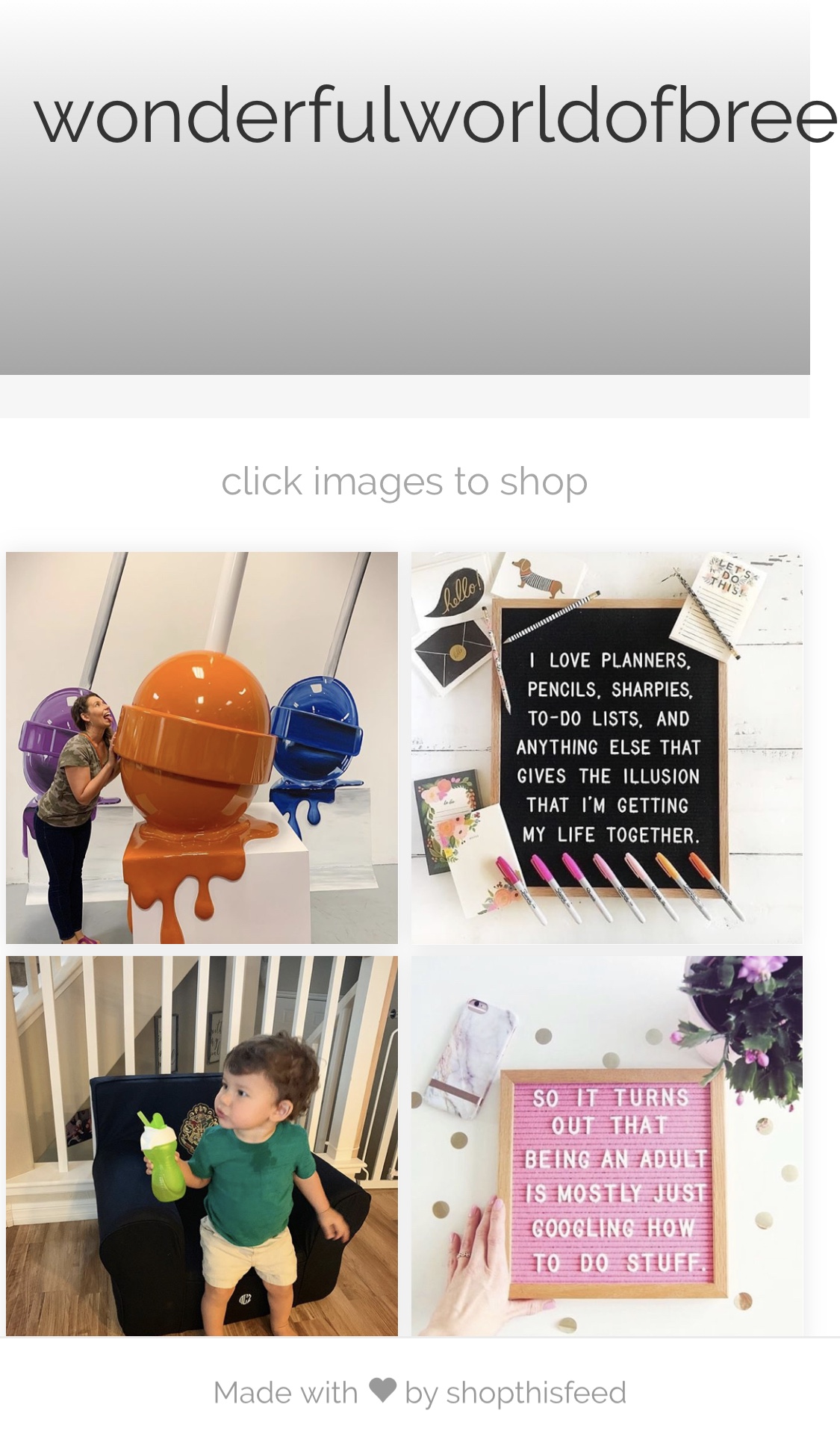 shop my feed | Wonderful World of Bree