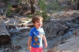 kid-friendly places to hike in Las Vegas
