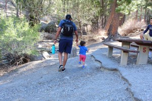 Deer Creek Picnic Area, Kid-Friendly Places to Hike