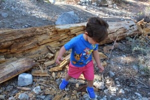 kid-friendly places to hike in Las Vegas