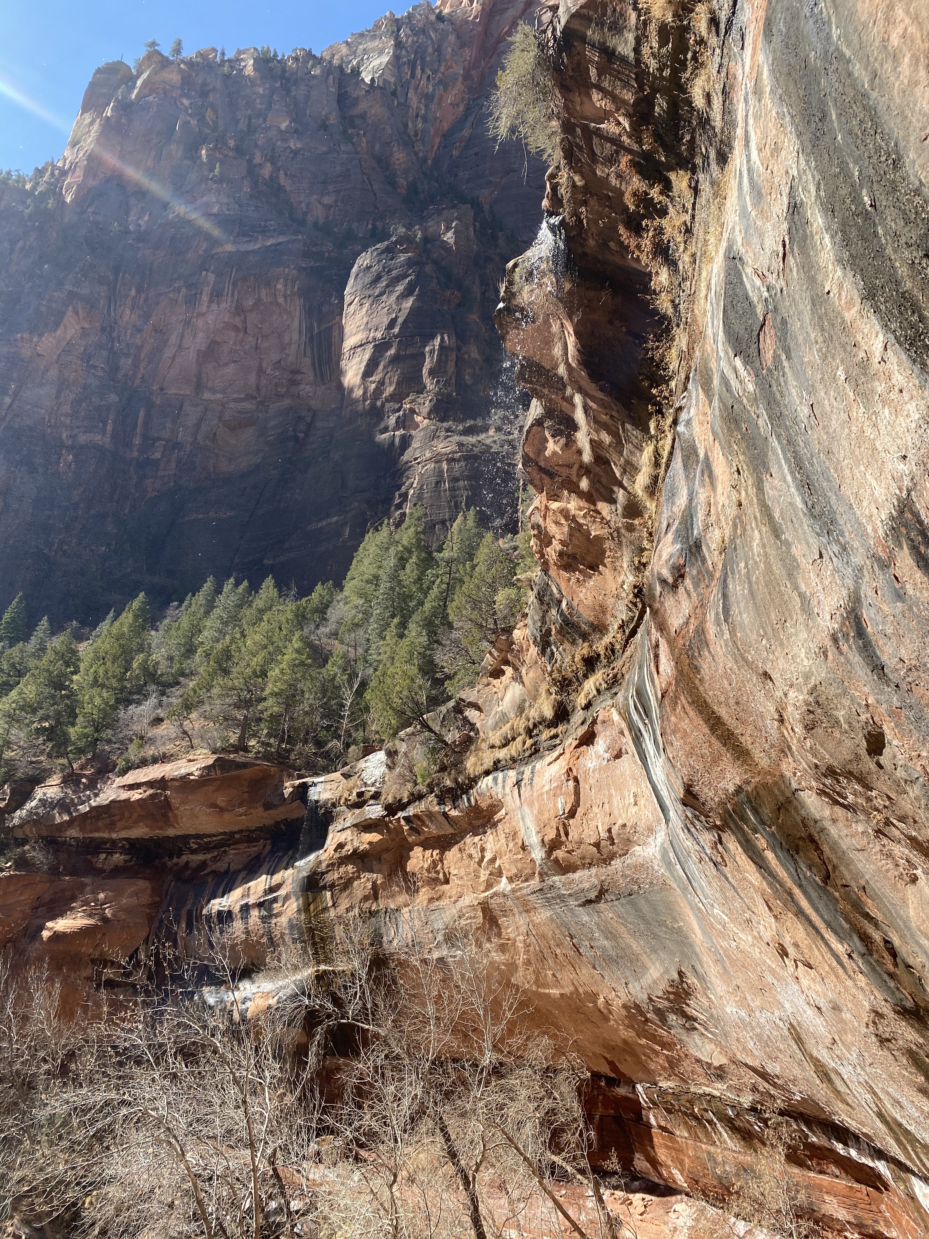 Plan a Memorable Tip to Zion