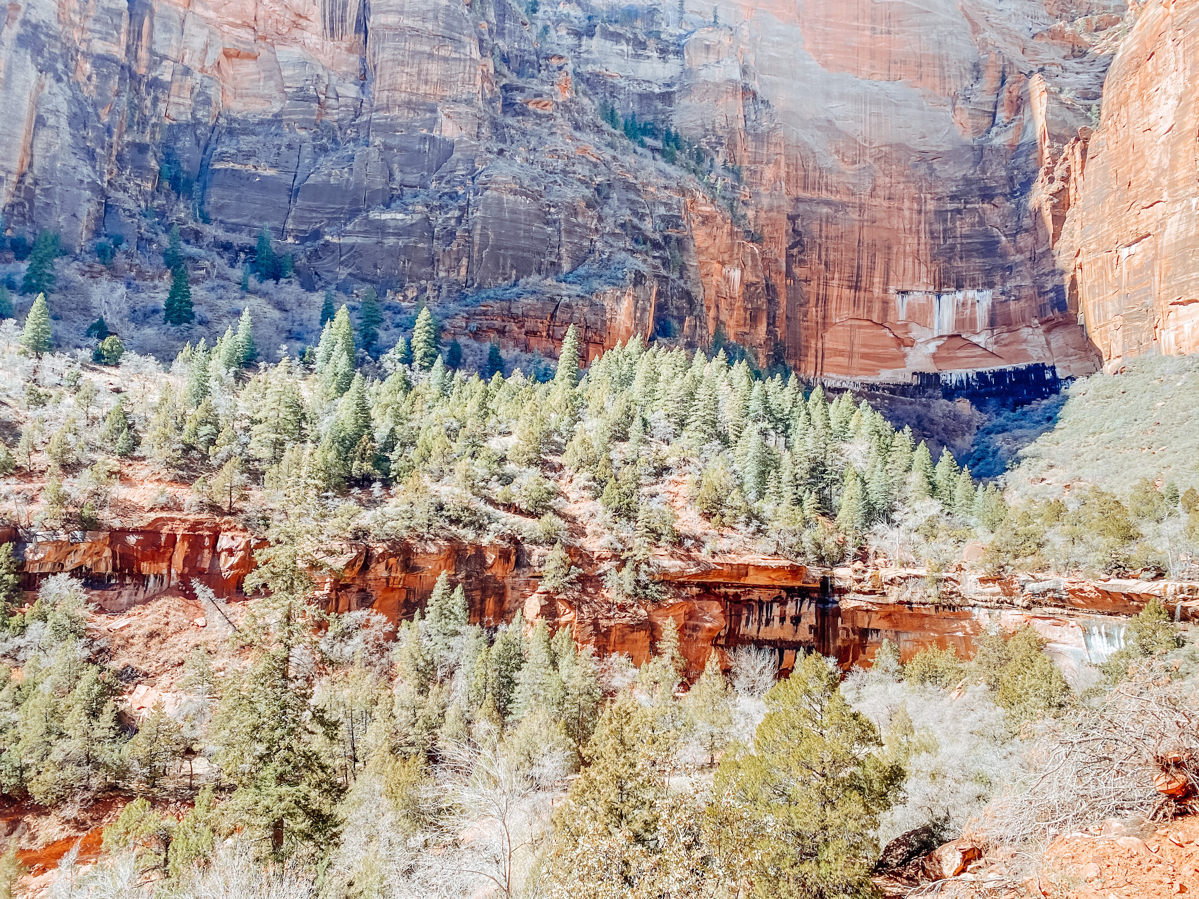 Plan a Memorable Tip to Zion